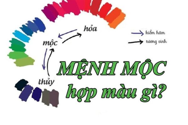 Mệnh Mộc hợp màu gì