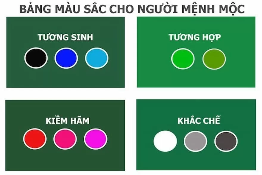 Lợi ích của việc hiểu mệnh mộc hợp gì trong cuộc sống