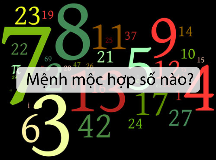 Các con số may mắn cho mệnh Mộc