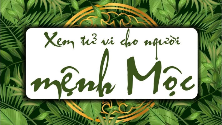 Mệnh Mộc hợp mệnh gì