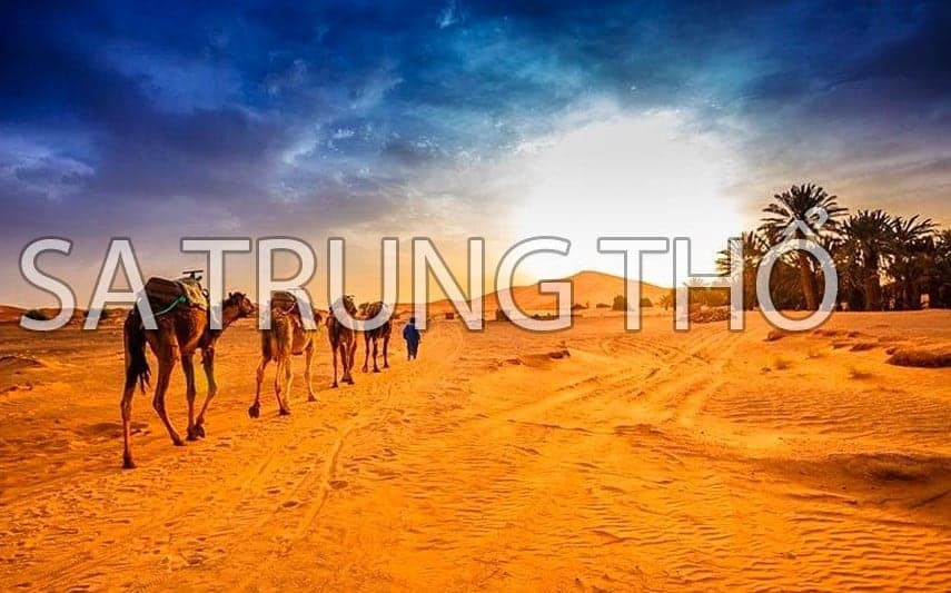 Sa trung thổ mệnh sinh năm nào